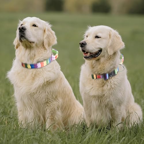 Tactical Dog Collar (Multicolor Gradient - Handle Style / M: Neck 14.5" to 18")