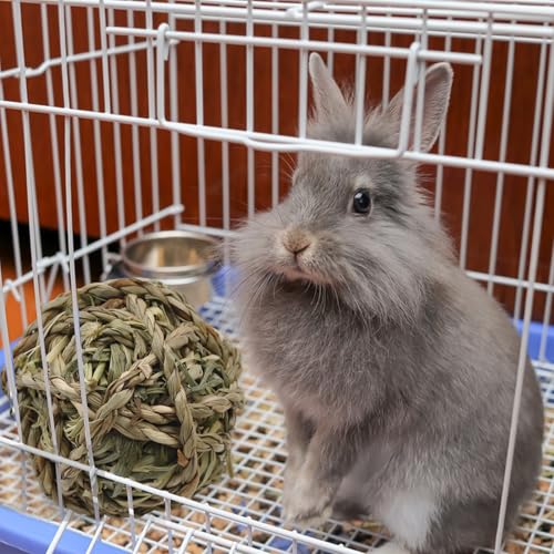 Rabbit Timothy Grass Ball 6 Pcs