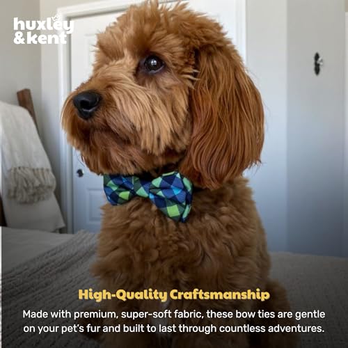 Pet Bow Tie for Dogs & Cats (Large)