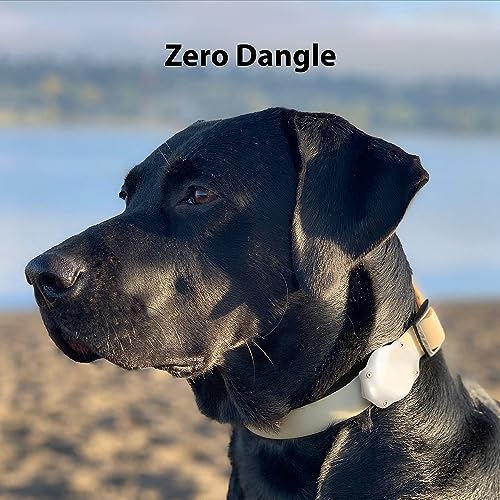 AirTag Dog Collar Holder (2 Pack (Glow in the Dark))