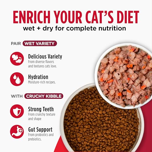 Freestyle Cat & Kitten Dry Food (2 Pound (Pack of 1))