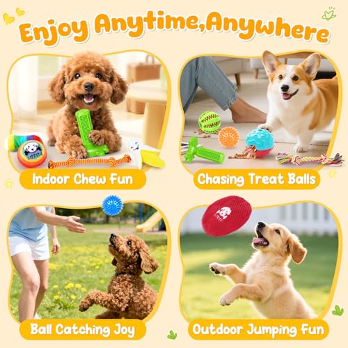 25 Pack Various Dog (Colorful)