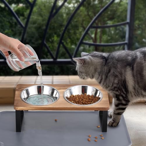 Stainless Steel Raised Cat Food Bowl for 2 Bowls