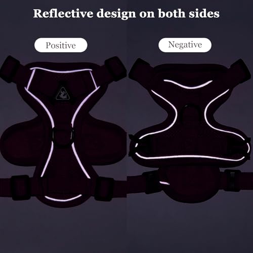 cat Chest Harness and Leash (rose red / L:11.02-16.5lb)