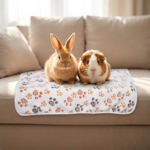 6 Pack Guinea Pigs Fleece Blankets (26x14 Inch /6 Packs / Light Color)