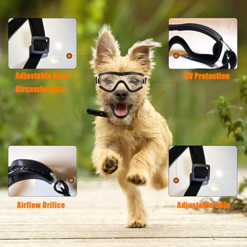 Dog Goggles Small Breed Dog Sunglasses Doggy UV Protection Glasses (Black Frame Transparent Lens)