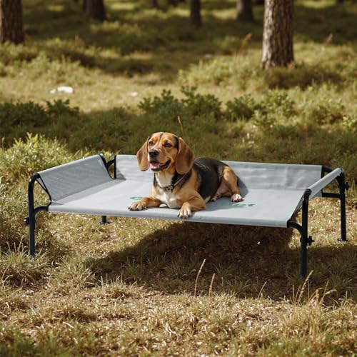 Elevated Dog Bed for Medium Size Dog (Grey / Medium)