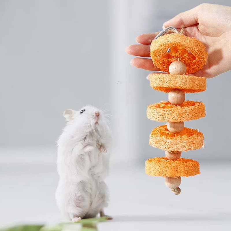 Bunny Chew Toys 2 Pack Natural Loofah Hanging Toy with Fruit Flavor for Rabbits Guinea Pigs Hamsters Small Animal Teeth Grinding and Cage Enrichment Rabbit Chew Toys (Orange Flavor)