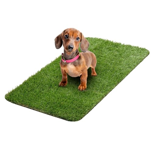 Pet Training Collection Easy Clean Indoor