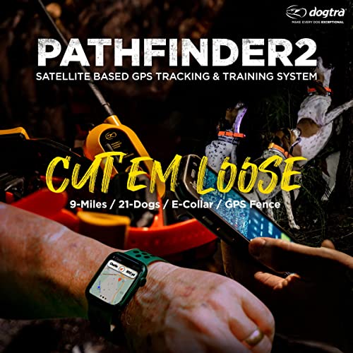 Pathfinder 2 Hunting Ecollar GPS Dog Training Collar with Remote (Path 2 - 1 Dog)