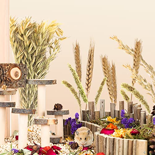 Natural Grain Flower&Herb Hamster Habitat Cage Accessories Bedding Decor (Wheat)