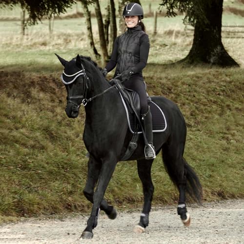 Adepto Padded All Purpose Quilted Equestrian Saddle Pad for Horses with Two (Black / Pony)