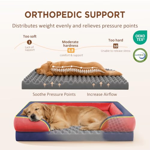 Orthopedic Dog Beds for Large Sized Dog with Bolster (36.0"L x 27.0"W x 8.0"Th / Kansas)