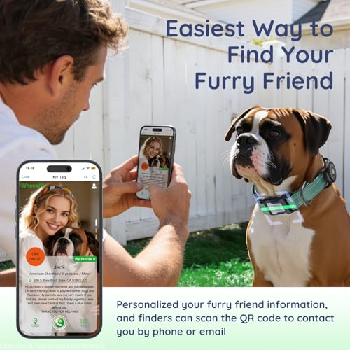 Airtag Dog Collar (Z: Teal / L: with Airtag Holder)