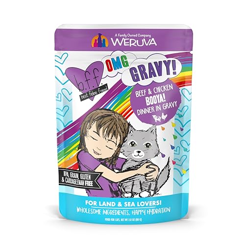 B.F.F. OMG Best Feline Friend Oh My Gravy! (2.8 Ounce (Pack of 12))