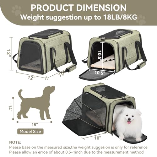 Large Expandable Cat Carrier for Travel (19.0"L x 12.0"W x 12.0"H / Green)