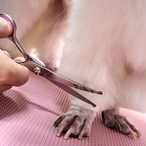 Dog Grooming Scissors Kit (Pink)
