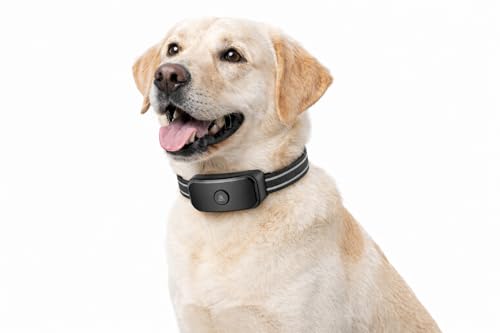 GF03 H GPS Dog Fence