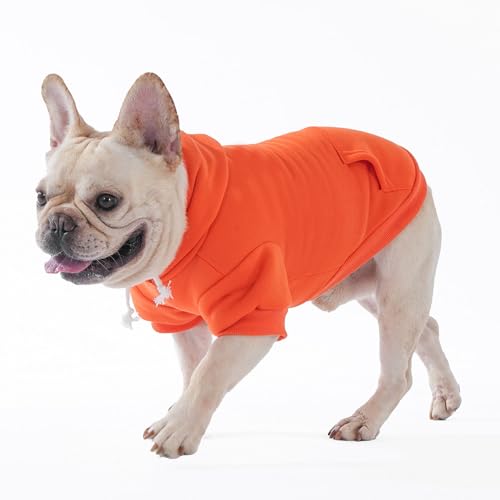 Fall Dog Clothes Thanksgiving Pet Hoodie Sweater for Large Dogs (Orange / Large)