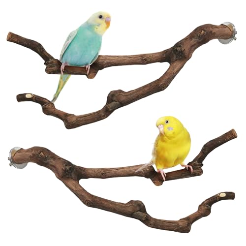 Natural Parrot Perch Grape Wood Bird Stand Pole Parakeet Paw Grinding Fork Chewable Climbing Branches Toy Bird Cage Accessories for Budgies Conures Cockatiels Lovebirds (11.8in)
