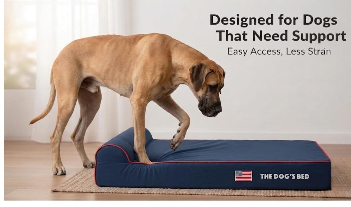 The Dog’s Bed Orthopedic Memory Foam Dog Bed with Headrest XL 6 (Blue with Red Trim US Flag / XL (46"L x 28"W x 6"Th))