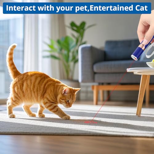 Cat Toys with Metal Case (Blue)