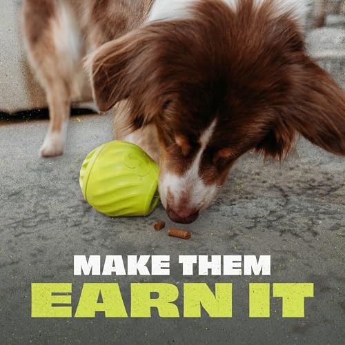 Pawbler Interactive Treat Dispensing Dog Toy (Small/Medium)