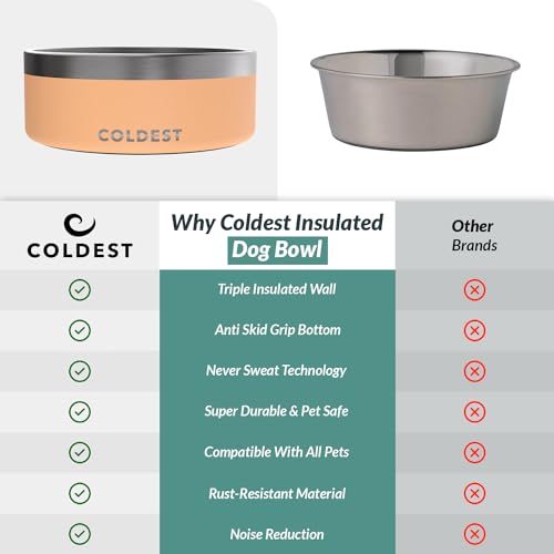 Coldest Dog Bowl (64 oz / Sahara Peach)