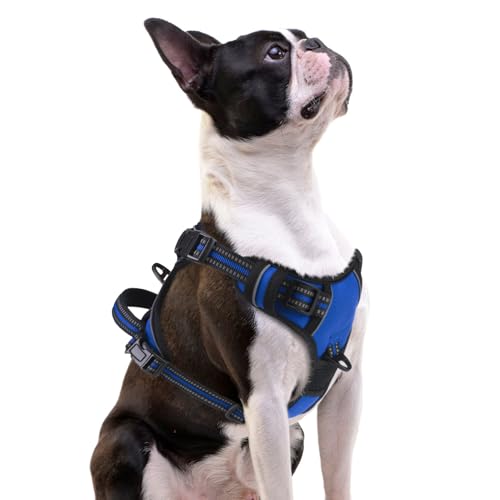 No Pull Dog Harness Small Sized (Blue / Small)