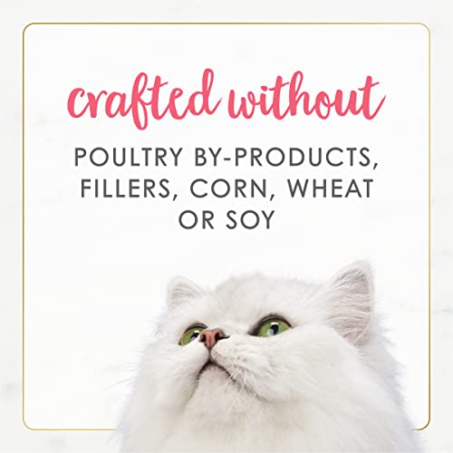 Purina Fancy Feast Grain Free Pate Wet Kitten Food (3 Ounce (Pack of 12))