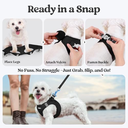 Dog Harness Medium Sized and Leash Set (Black / Xxl (chest: 21.6 - 23.7"))