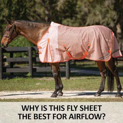 Ripstop Nylon Mesh II Horse Fly Sheets (Horse Size 86 / Euro Surcingle / White)