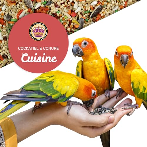 Cockatiel & Conure Cuisine 20lbs (20 Pound (Pack of 1))