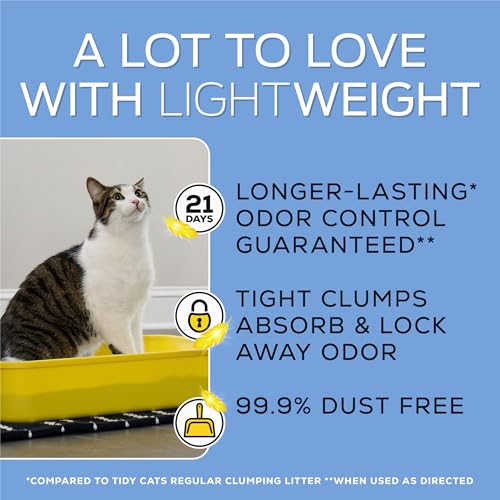 Light Weight Low Dust (17 Pound (Pack of 1) / Glade Clean Blossoms)