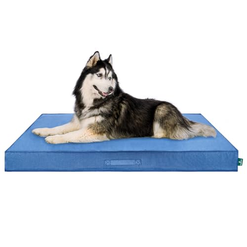 Cooling Dog Bed (Jumbo Plus / Blue)
