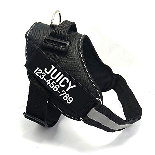 Custom No Pull Dog Harness with Name and Phone Number (M (20-40 LBS) / Black)