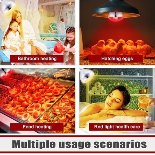 4 Pack Heat Lamp Bulbs 250 Watt (Silver, Red)