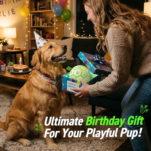 Glow in The Dark Dog Toys (Light Up Ball / 8 Inch)
