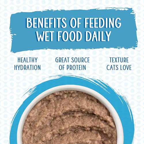 Slide N' Serve Paté Wet Cat Food (2.8 Ounce (Pack of 12))