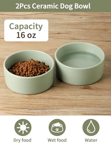 Ceramic Dog Bowl Set of 2 (5 inch x 2 / Sage Green)