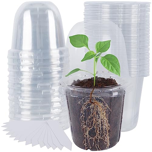36 Set Nursery Pots with Humidity Dome (Clear)