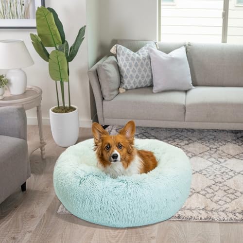 The Original Calming Donut Dog Bed for Medium Dogs up to 45 lbs (Baby Blue Shag / Medium)