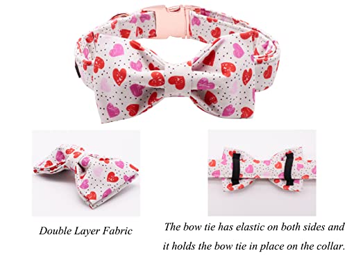 Valentines Day Dog Collar with Bowtie (Hearts / Medium (Pack of 1))