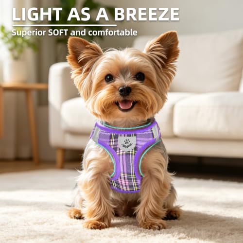 Dog Harness Collar and Leash Set No Pull for Small Medium Sized (Purple / XXS (CHEST 11.5"-13"))