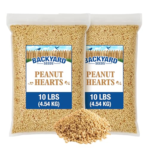 20LB Peanut Hearts for Wild Birds & Squirrels (20 Pound (Pack of 1) / Peanut Hearts)