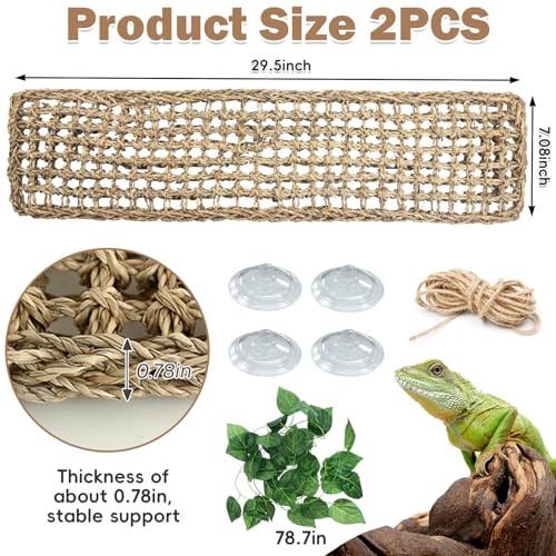 Bearded Dragon Hammock