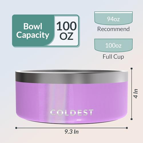Coldest Dog Bowl (100 oz / Saturns Purple Glitter)
