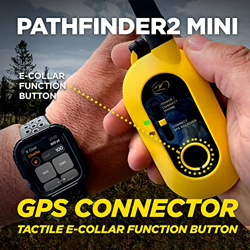Pathfinder 2 Mini (Path 2 Mini - 1 Dog)