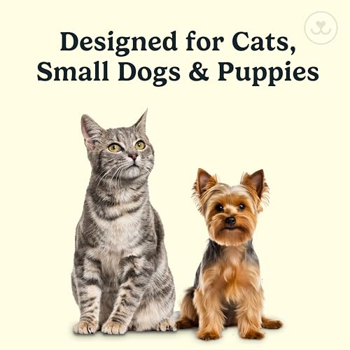 Microbrush Vet Approved Cat Toothbrush (Blue 4 Pack)