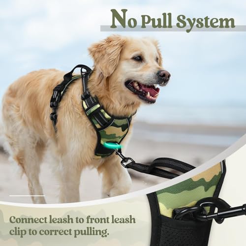 Dog Harness No Pull for Large Dogs with 2 Leash Clips (Large / Green Mountain)